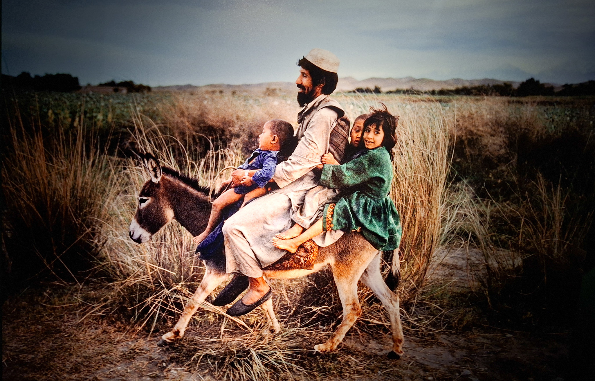 Móvil 20260613 Steve McCurry 99